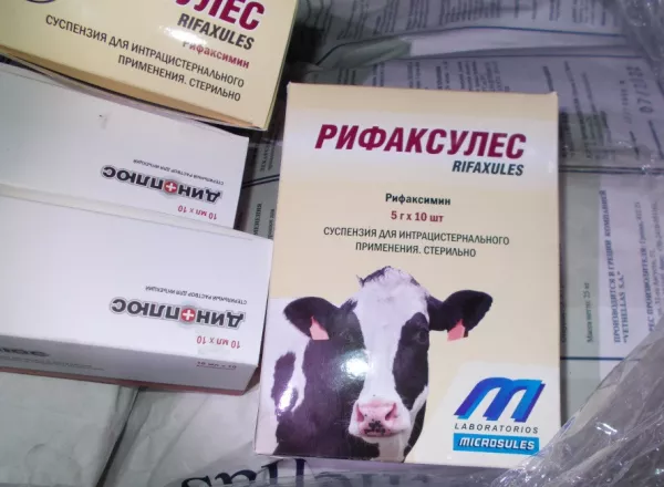В Псковской области запрещен ввоз более 500 литров ветеринарных препаратов