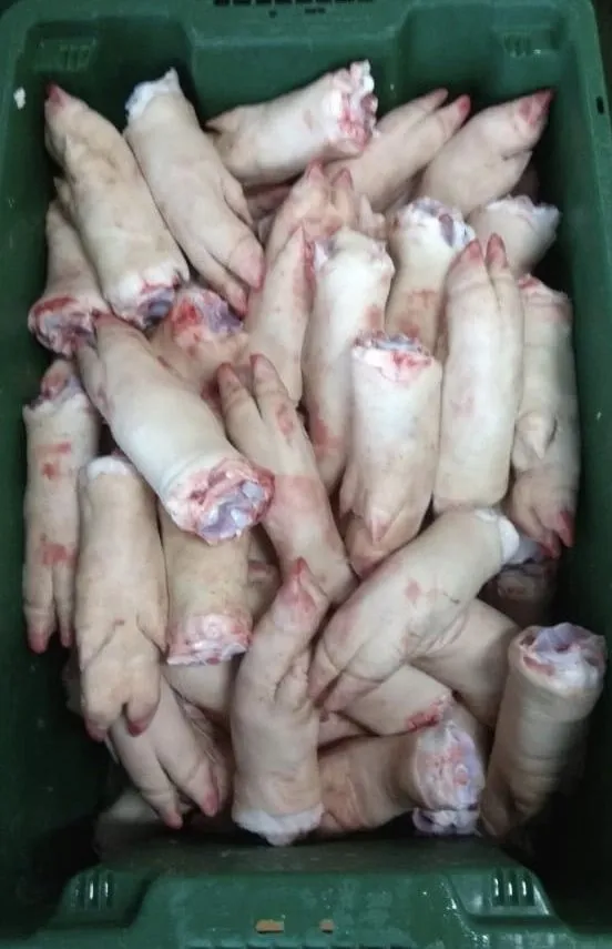 фотография продукта ноги свиные (копыта) 10 руб/кг